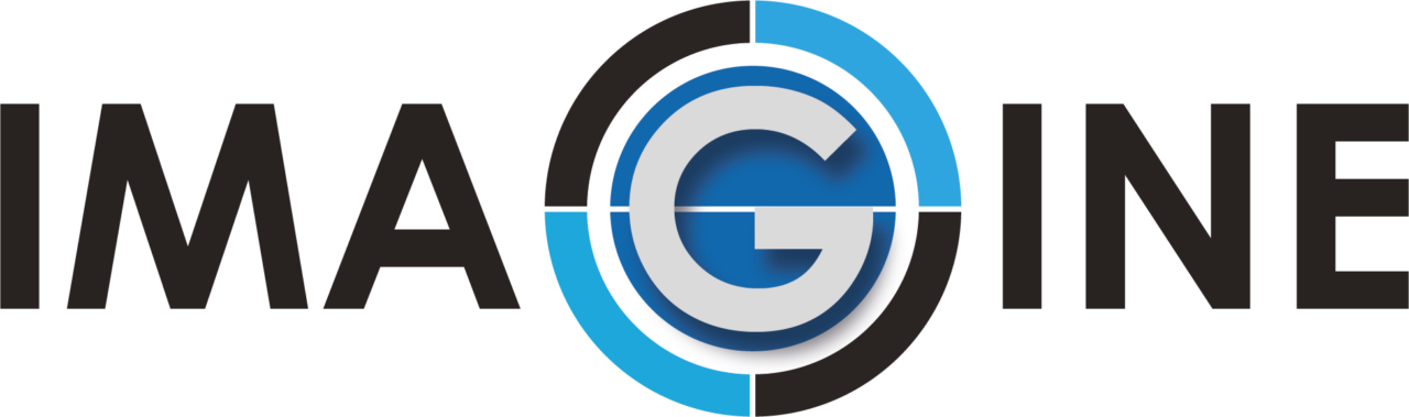 New website section: explore IMAGINE project’s diagnostic and ...