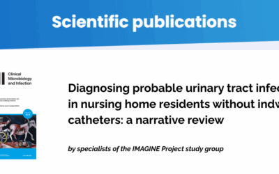 Diagnosing probable urinary tract infections in nursing home residents without indwelling catheters: a narrative review
