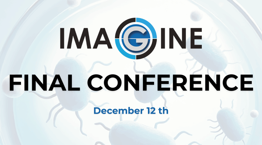 IMAGINE Final Conference: Barcelona December 12th